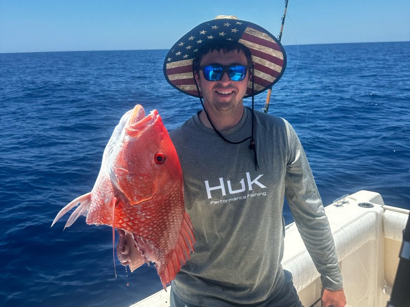 Sharked red snapper