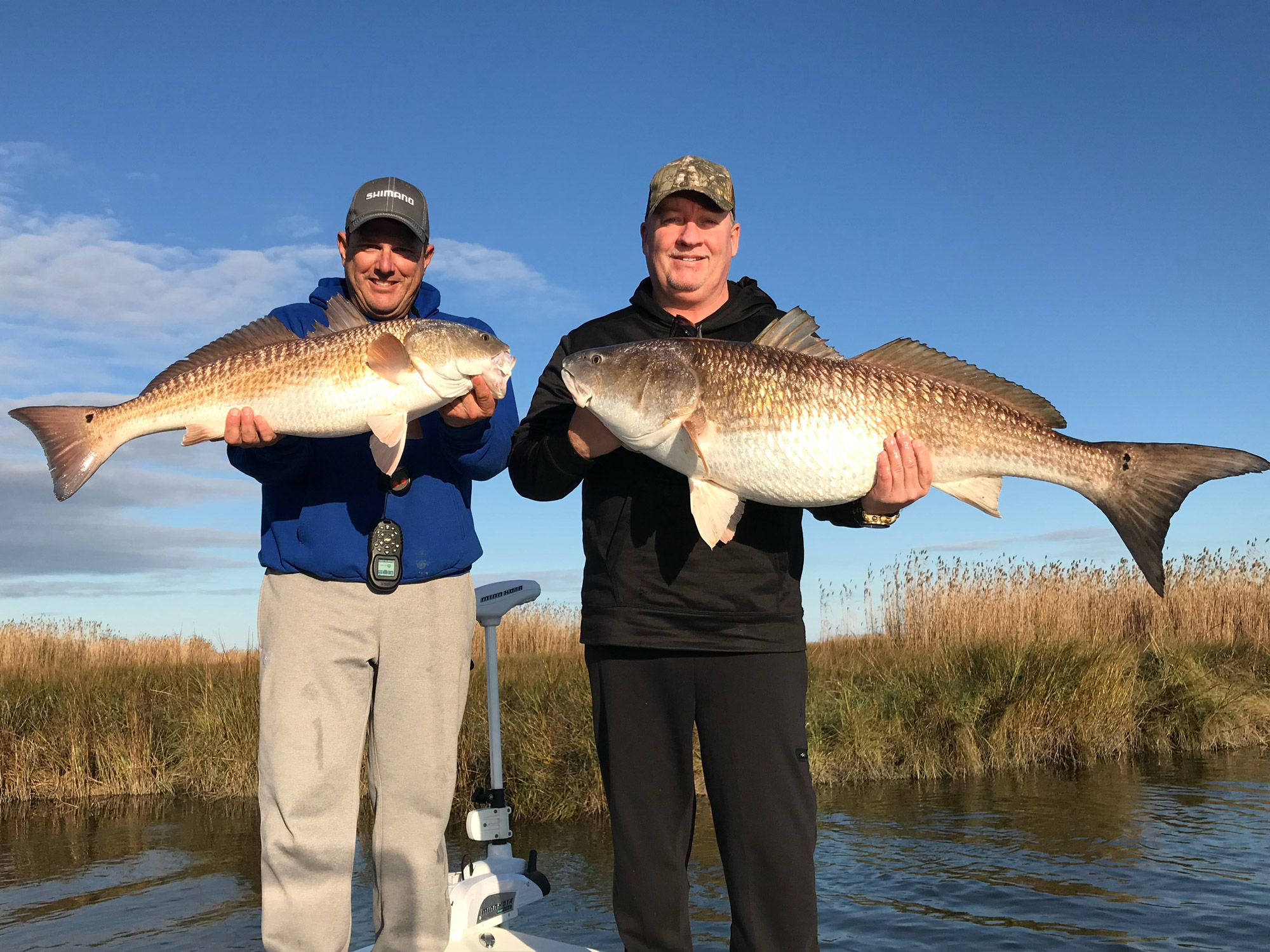 bull Redfish