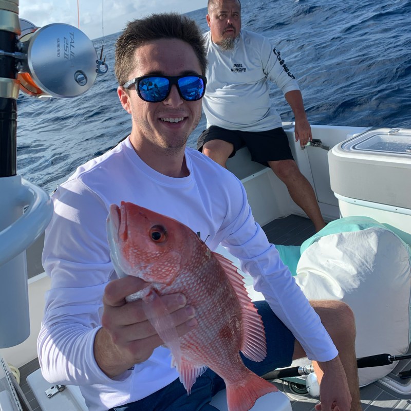 Juvenile red snapper