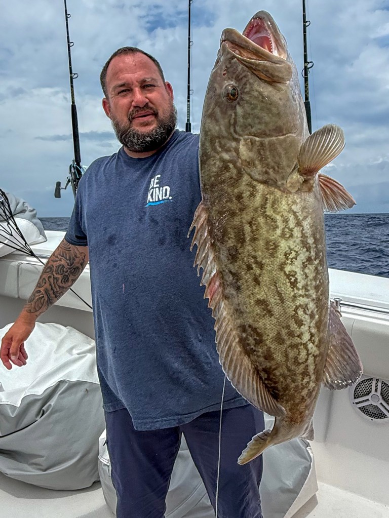 Gag grouper
