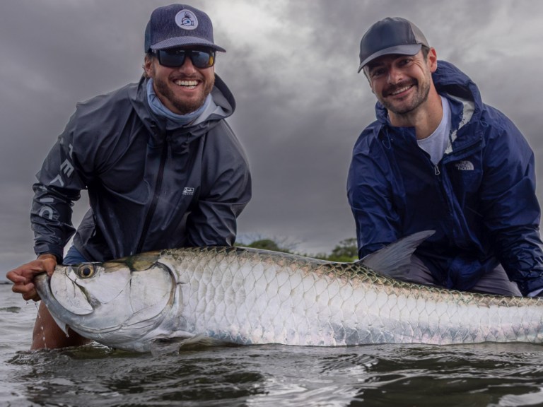 Lead large tarpon