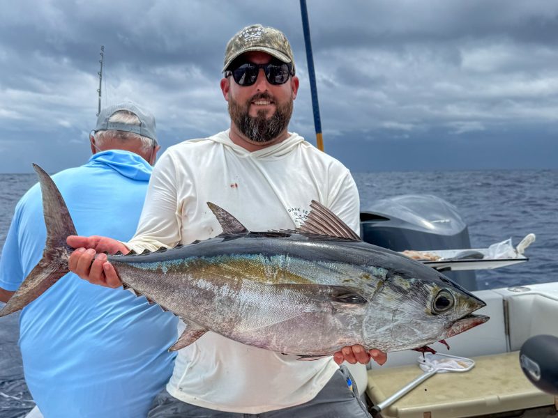 Blackfin tuna