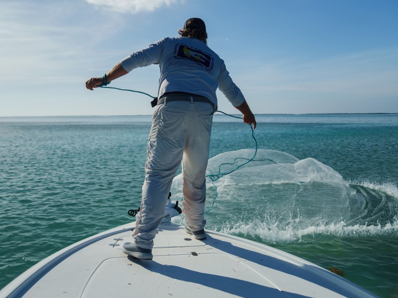 cast net