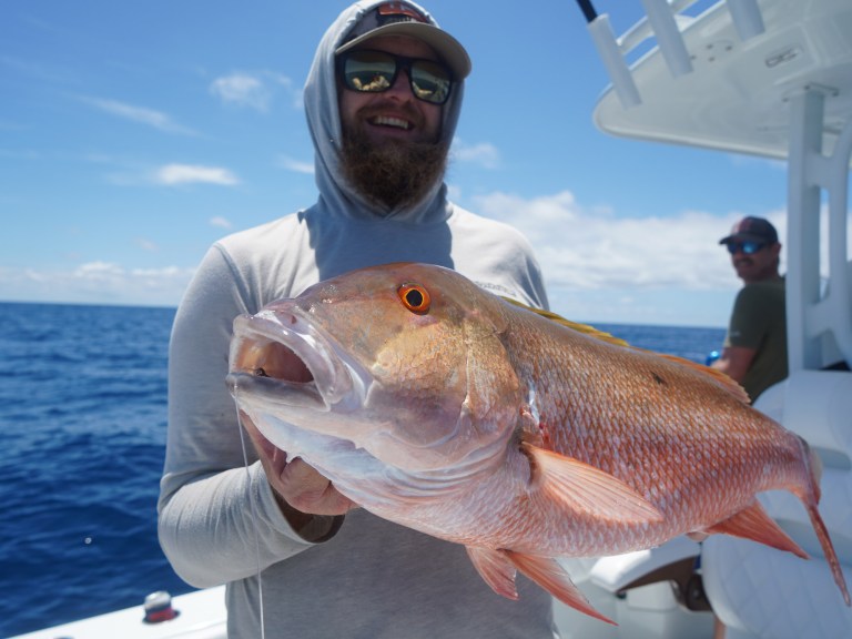 mutton_horiz Mutton snapper