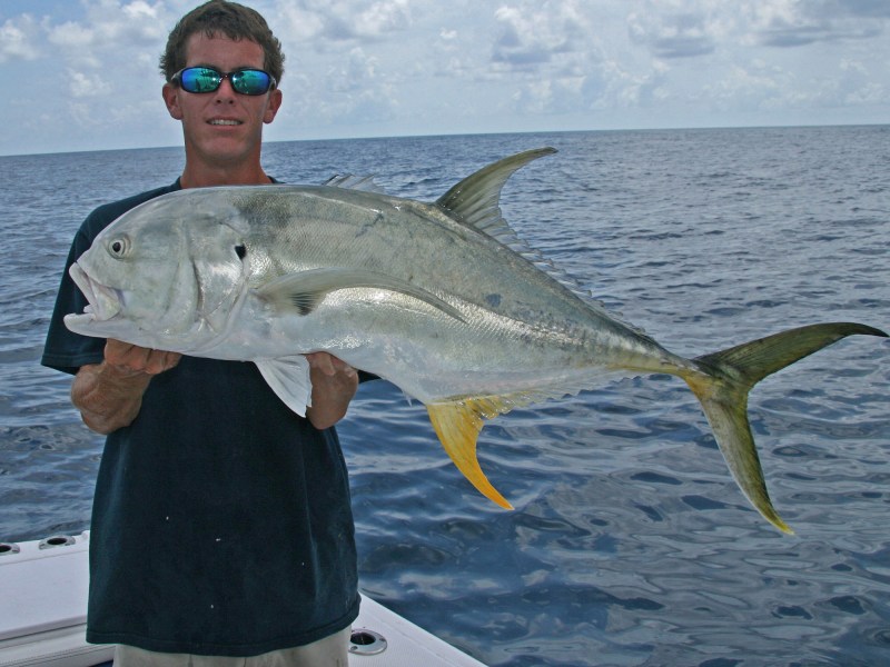 Jack Crevalle