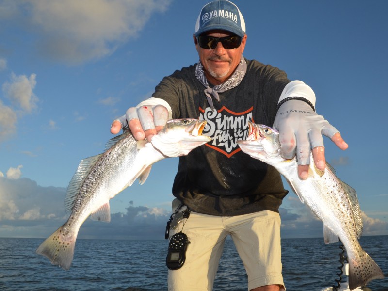 speckled seatrout