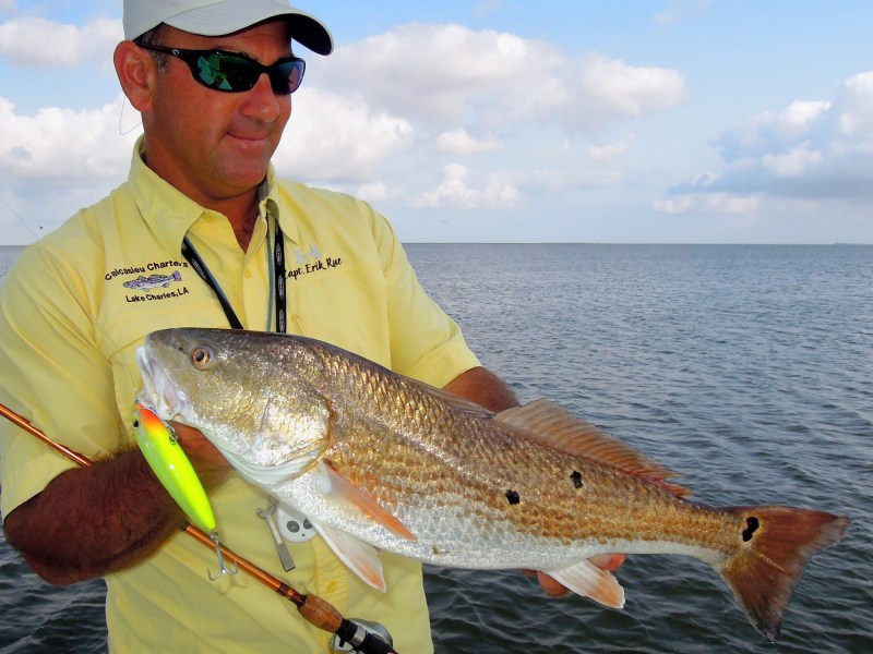 redfish