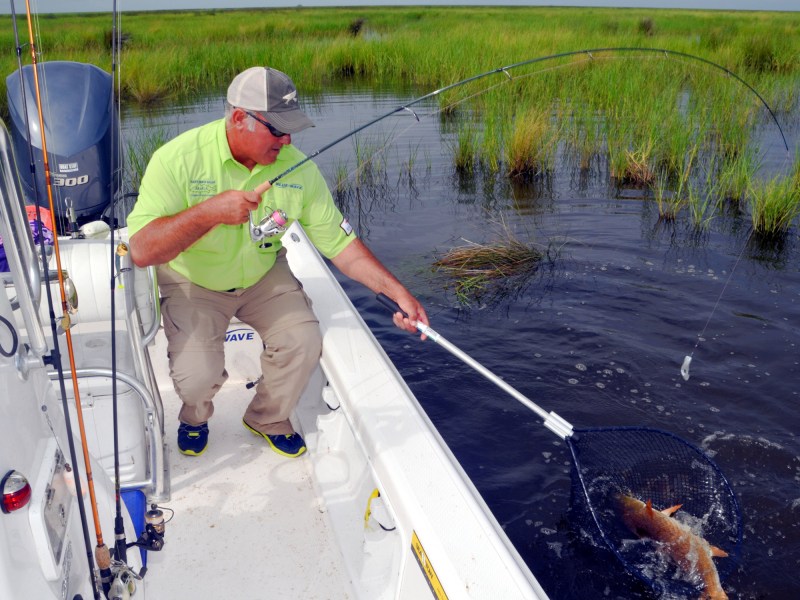 redfish