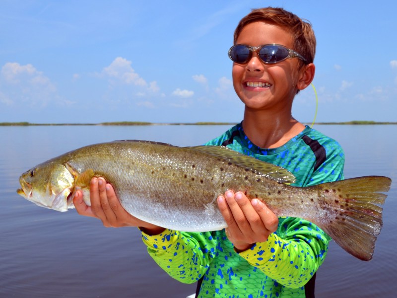 Seatrout