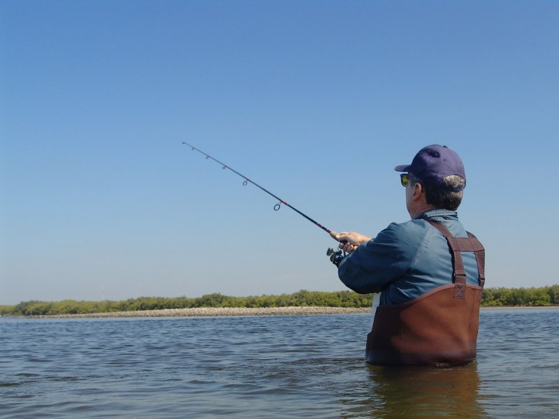 Wading angler casts