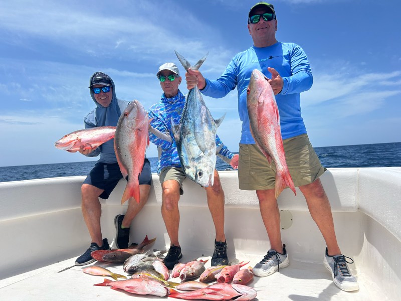 Mixed bag of Bahamas snapper species