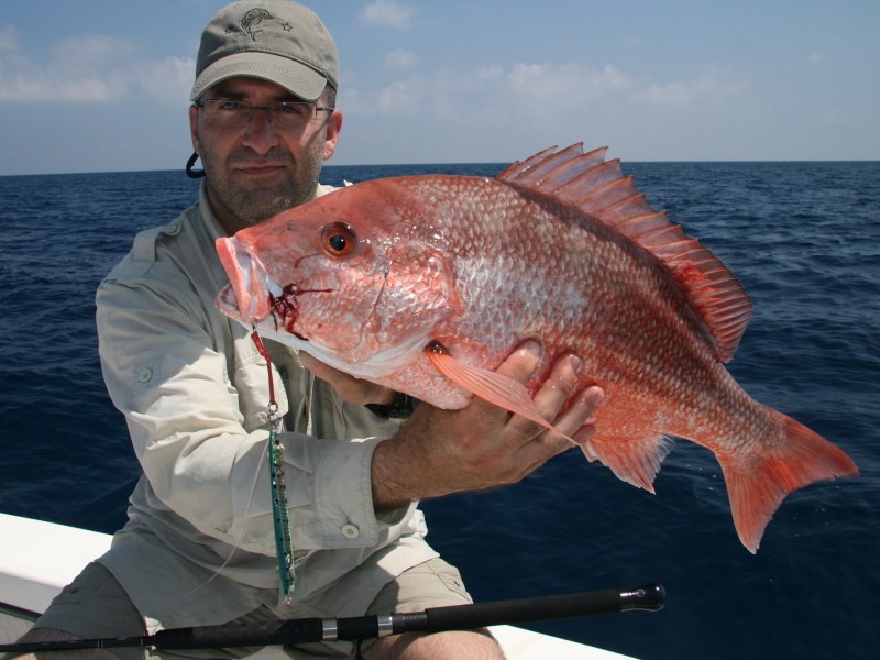 Red snapper