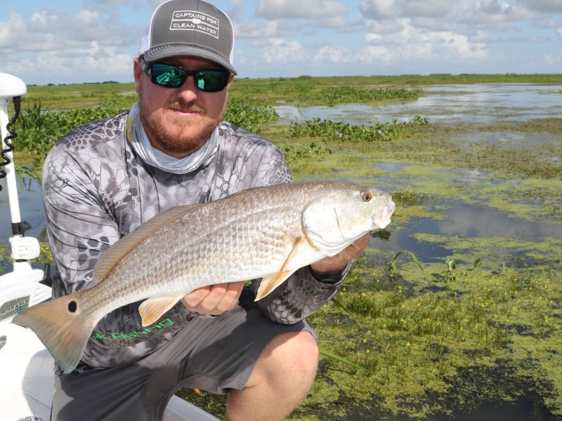 Angler with a redfish caught in a marsh