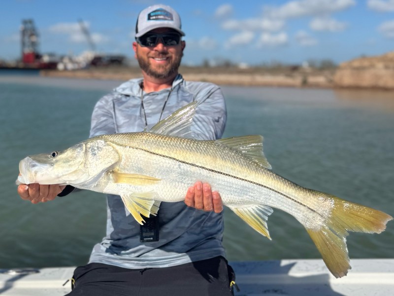 snook
