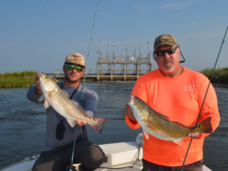 Two Louisiana redfish