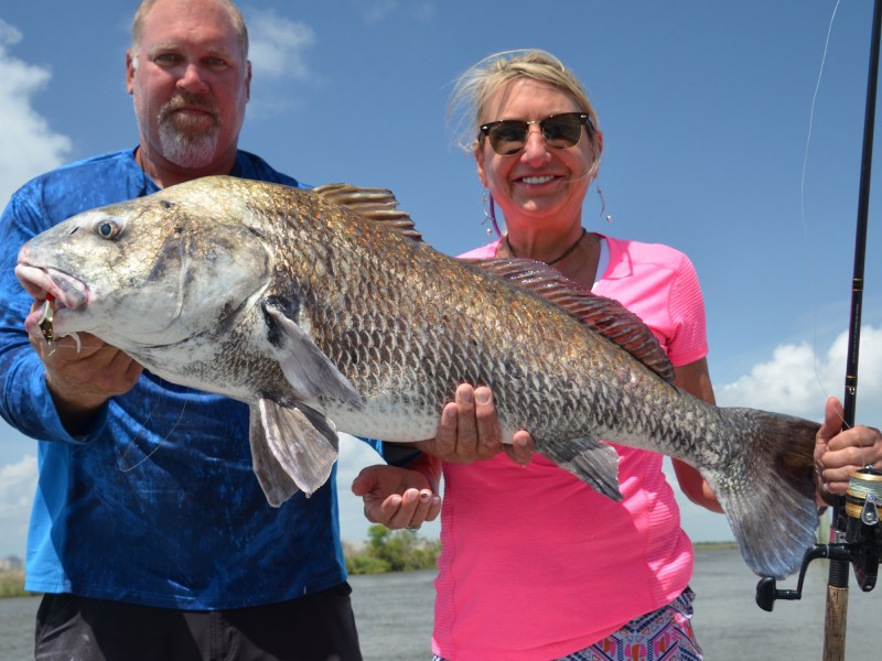 black drum
