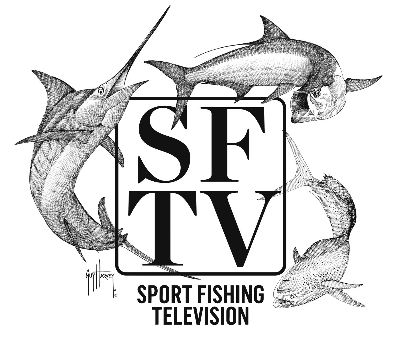 SFTV 2026