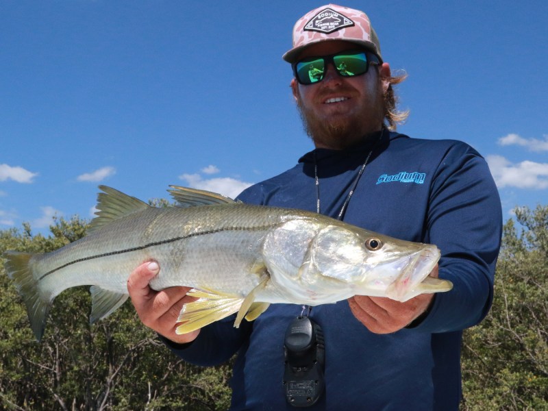 snook
