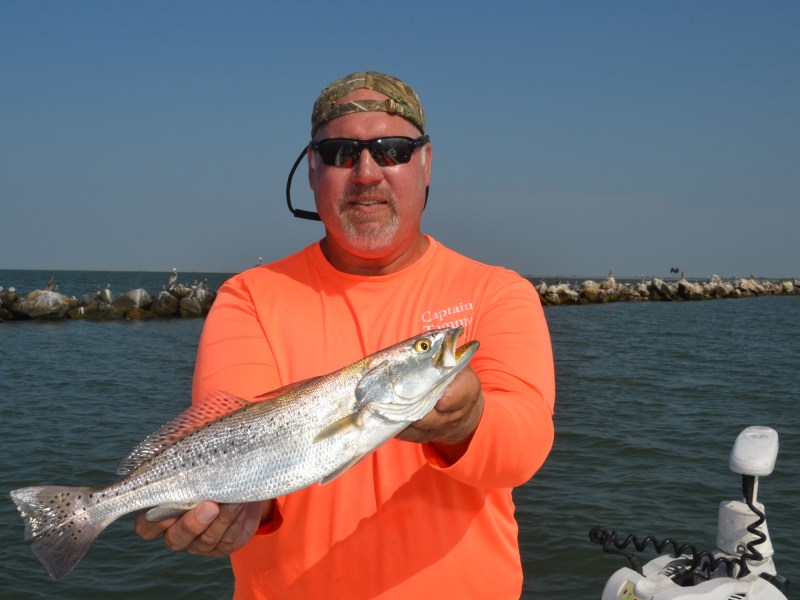 Speckled trout
