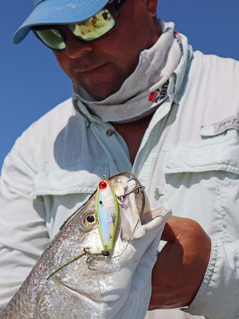 Redfish on a twitchbait