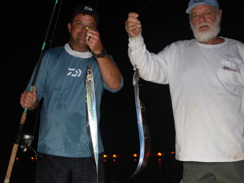 anglers catching ribbonfish (Atlantic cutlassfish