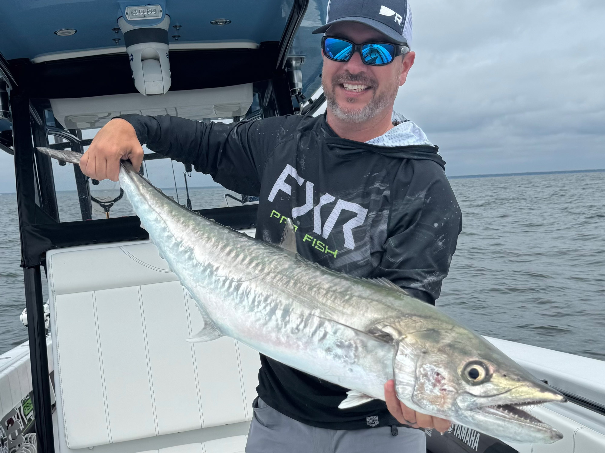 Kingfish, king mackerel