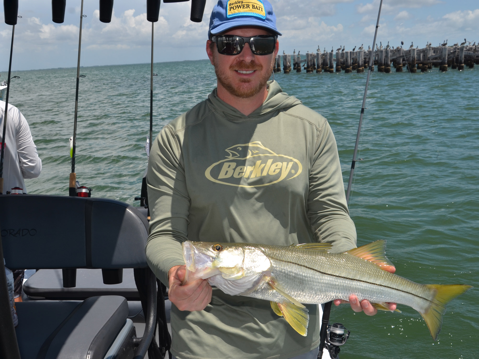 snook