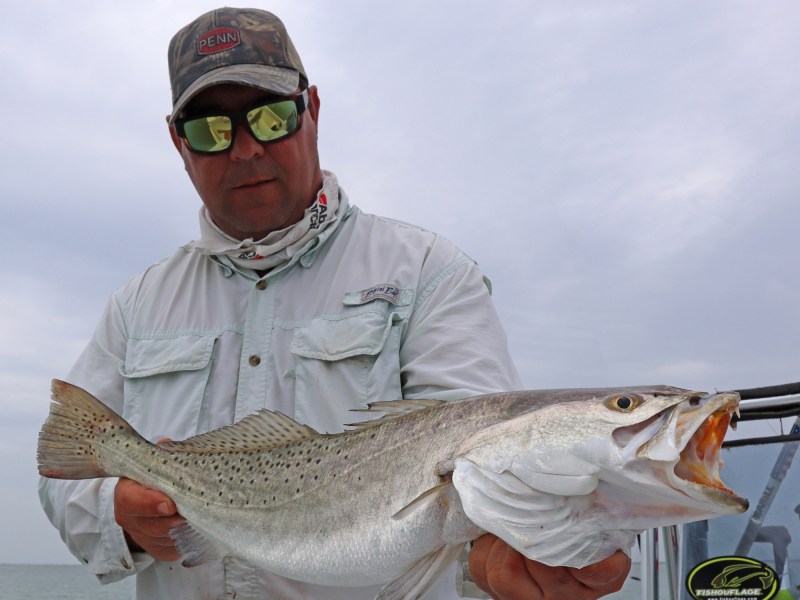 Big seatrout